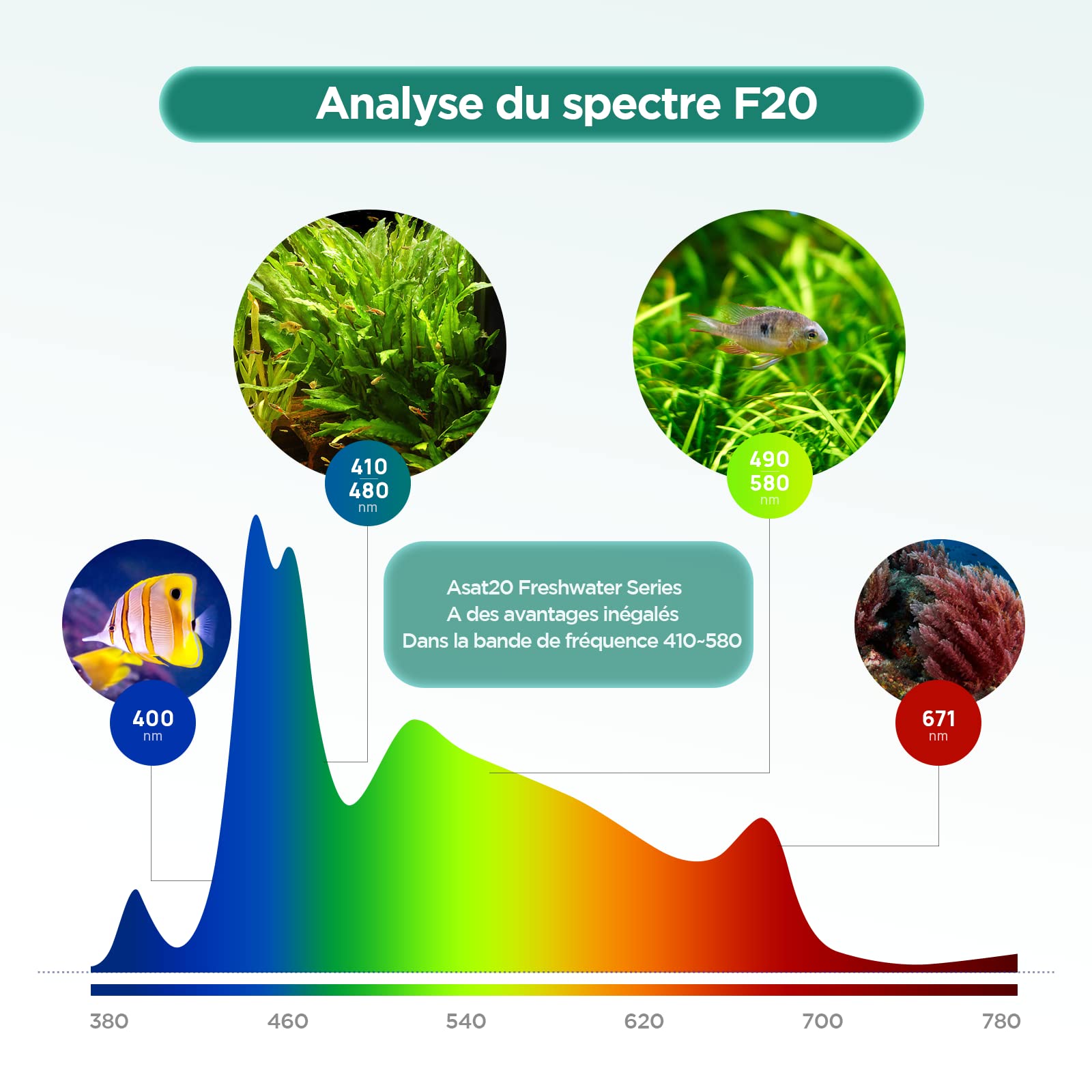 Lominie Lumière LED D'aquarium, Asta 20 Nano Dimmable Lumières Planté LED d'eau Douce Lamp 6500K pour Plante d'eau Douce Aquarium (F20 Eau fraiche)