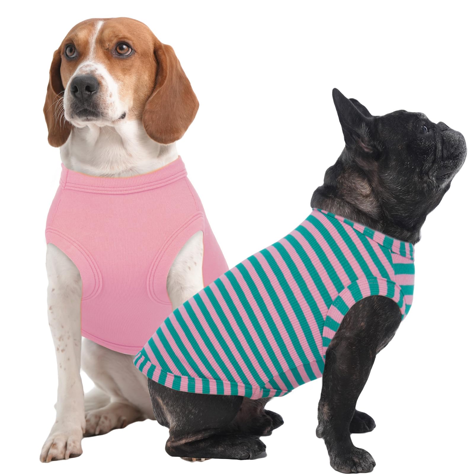 Vêtement pour chien lavable en machine t-shirt d été léger et confortable IECOii