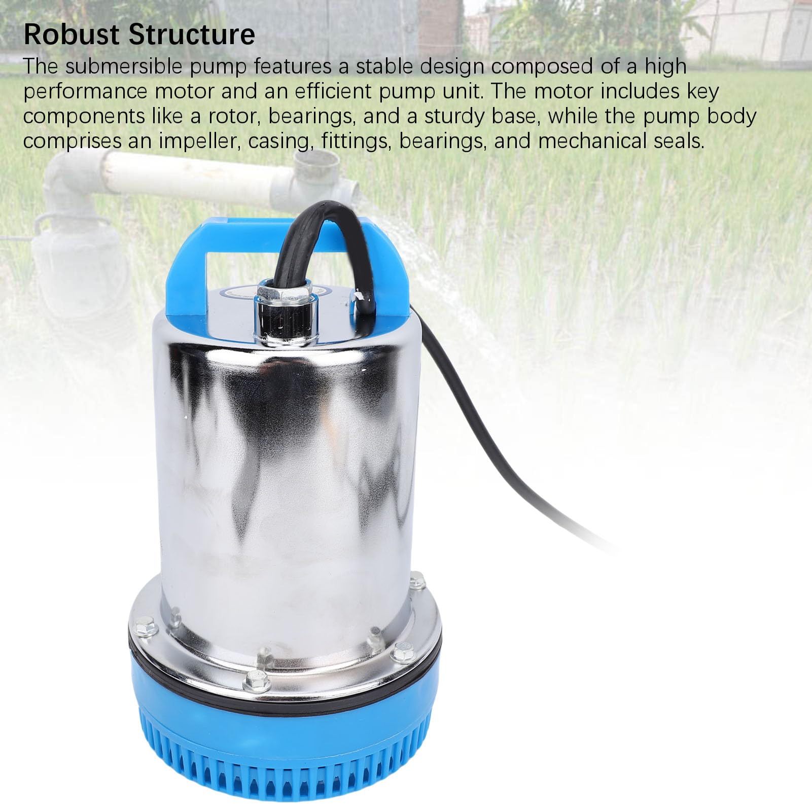 Tangxi Bomba de Agua de Imán Permanente Silenciosa, Bomba de Agua Solar, Salida de 1 Pulgada, Elevación de 8m para Estanques, Patio Trasero, Construcción Resistente