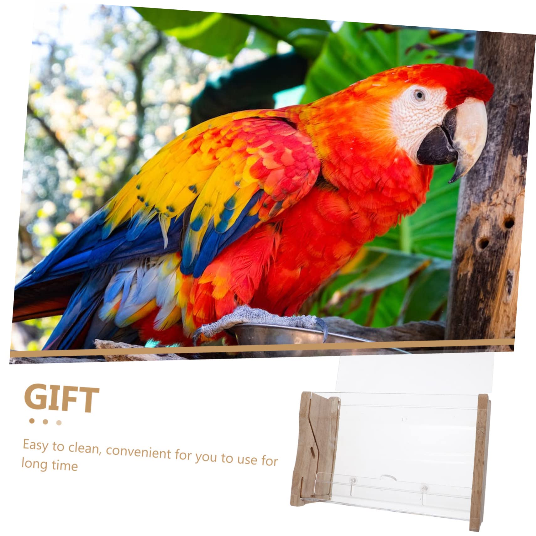 Toddmomy Mangeoire Automatique en Acrylique pour Poulets à Rutine et Perroquets, Distribution Pratique, Robuste, pour Cage, Beige