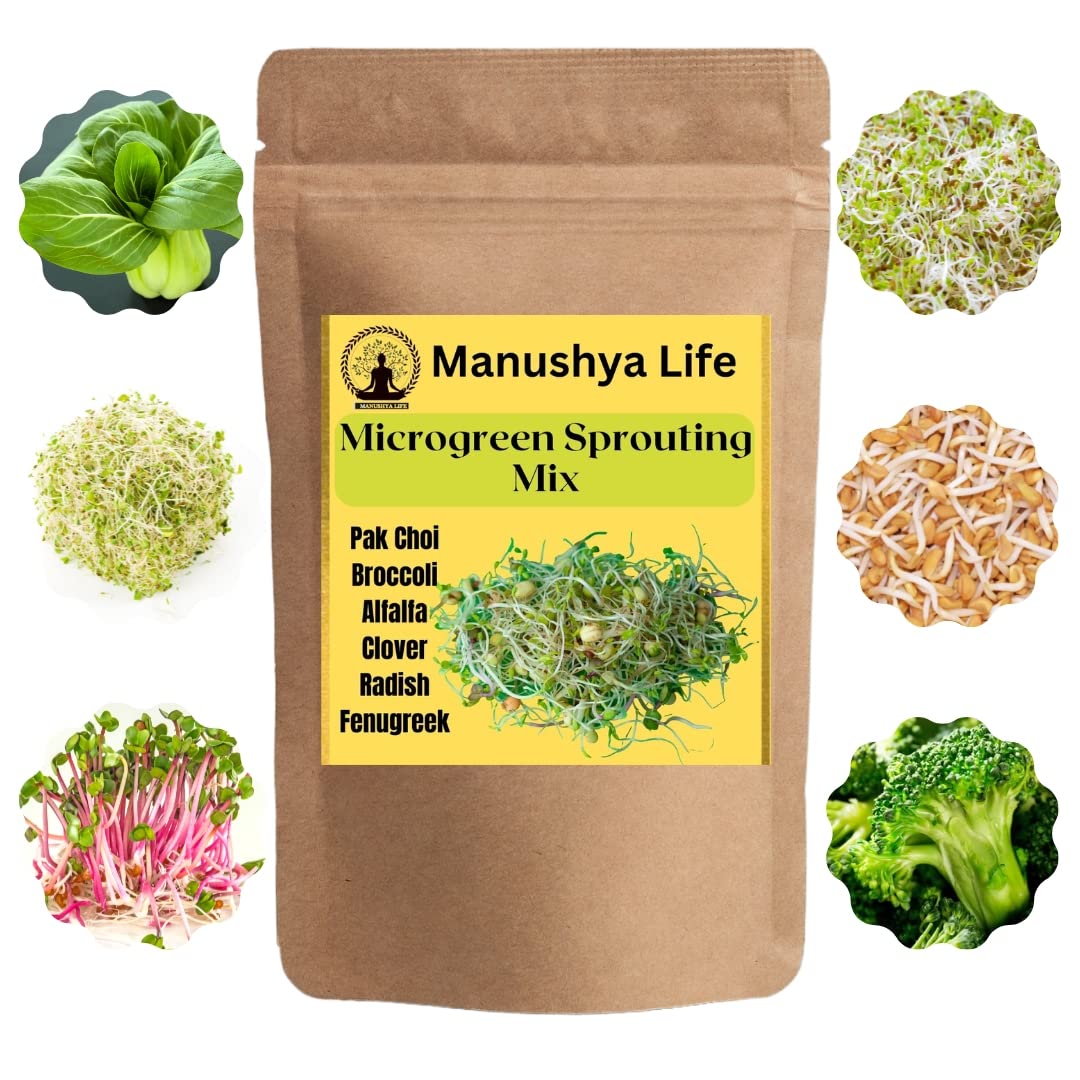 Manushya Life | 6 VARIETY OF SEEDS FOR SPROUTING MIX | Pak Choi, Broccoli, Alfalfa, Clover, Radish, Fenugreek Seeds | Satvik Lifestyle | 200 Grams (B0CDQLDX2S) Amazon Price History, Amazon Price Tracker
