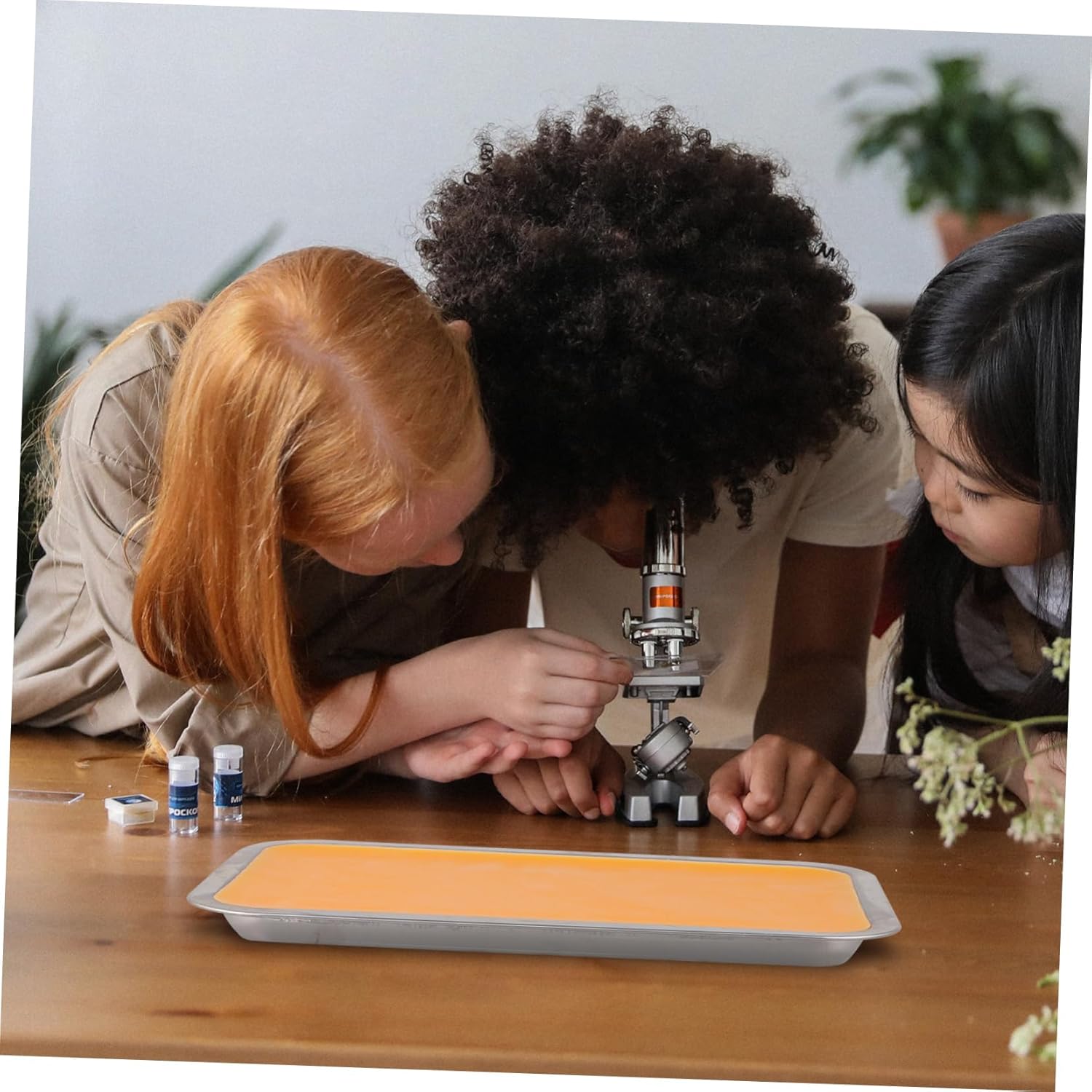 1set Stainless Steel Wax Dissecting Tray Wax Lined Holder for Dissection Teaching Lightweight Portable Design for Versatile Use Labs Classrooms