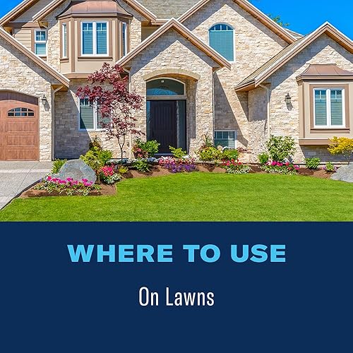 Miniatura 5 de Gránulos mata larvas de 24 horas Bayer- Advanced 700740S 10 libras 1