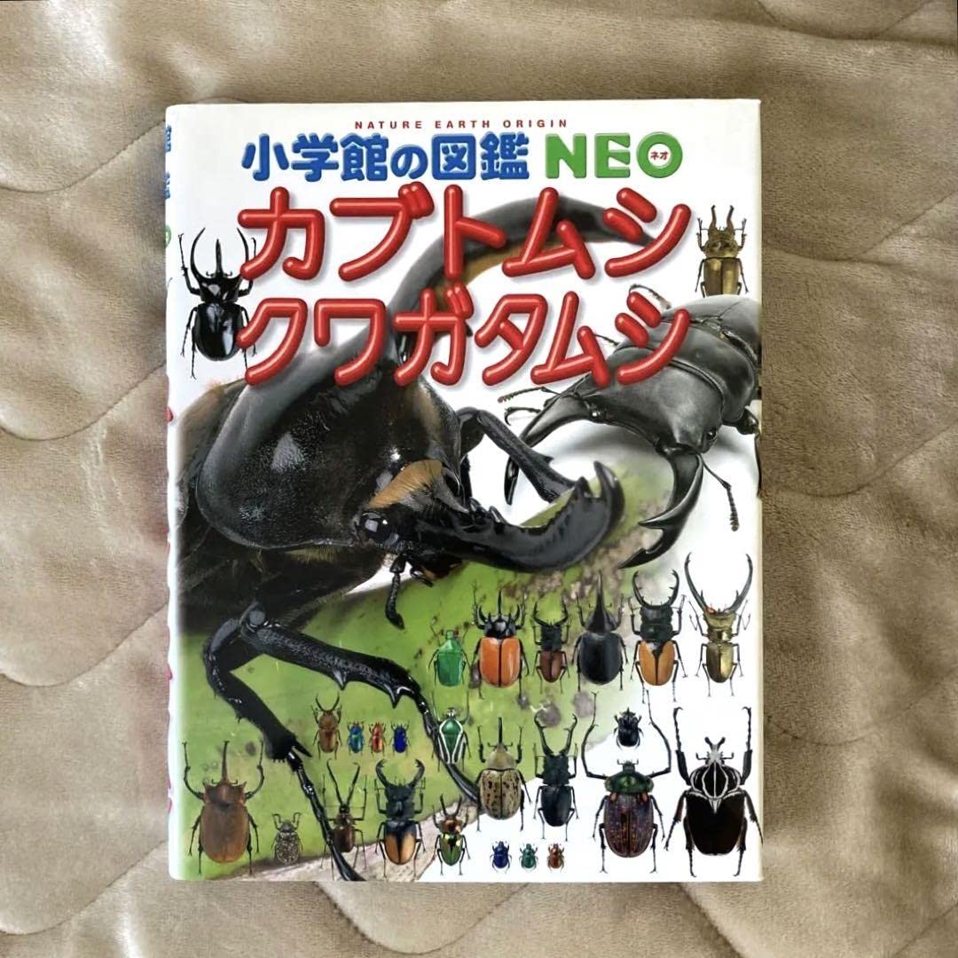 【新品】小学館の図鑑NEO 4冊(昆虫・カブトムシ・クワガタ等) 新版］カブトムシ・クワガタムシ | 小学館の図鑑NEOシリーズ