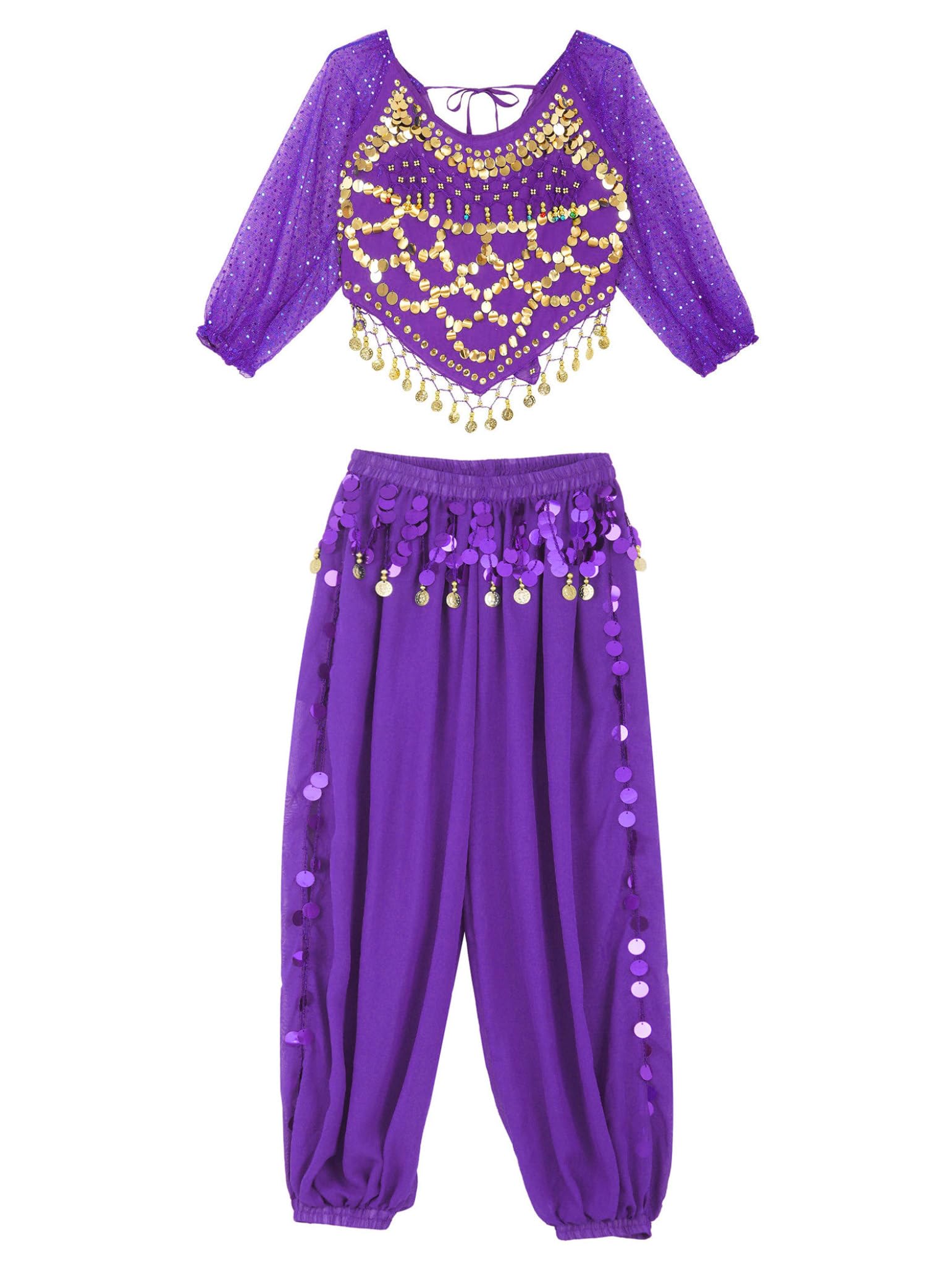 Costume Indien pour Femme pour La Danse du Ventre Ensemble Pièces Chemise Longs Manches Pantalons Lanterne pour Halloween