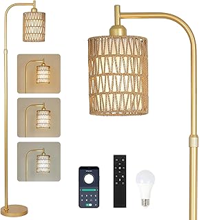 Modern Gold Floor Lamps for Living Room, Boho Rattan Floor Lamp with Rem...
