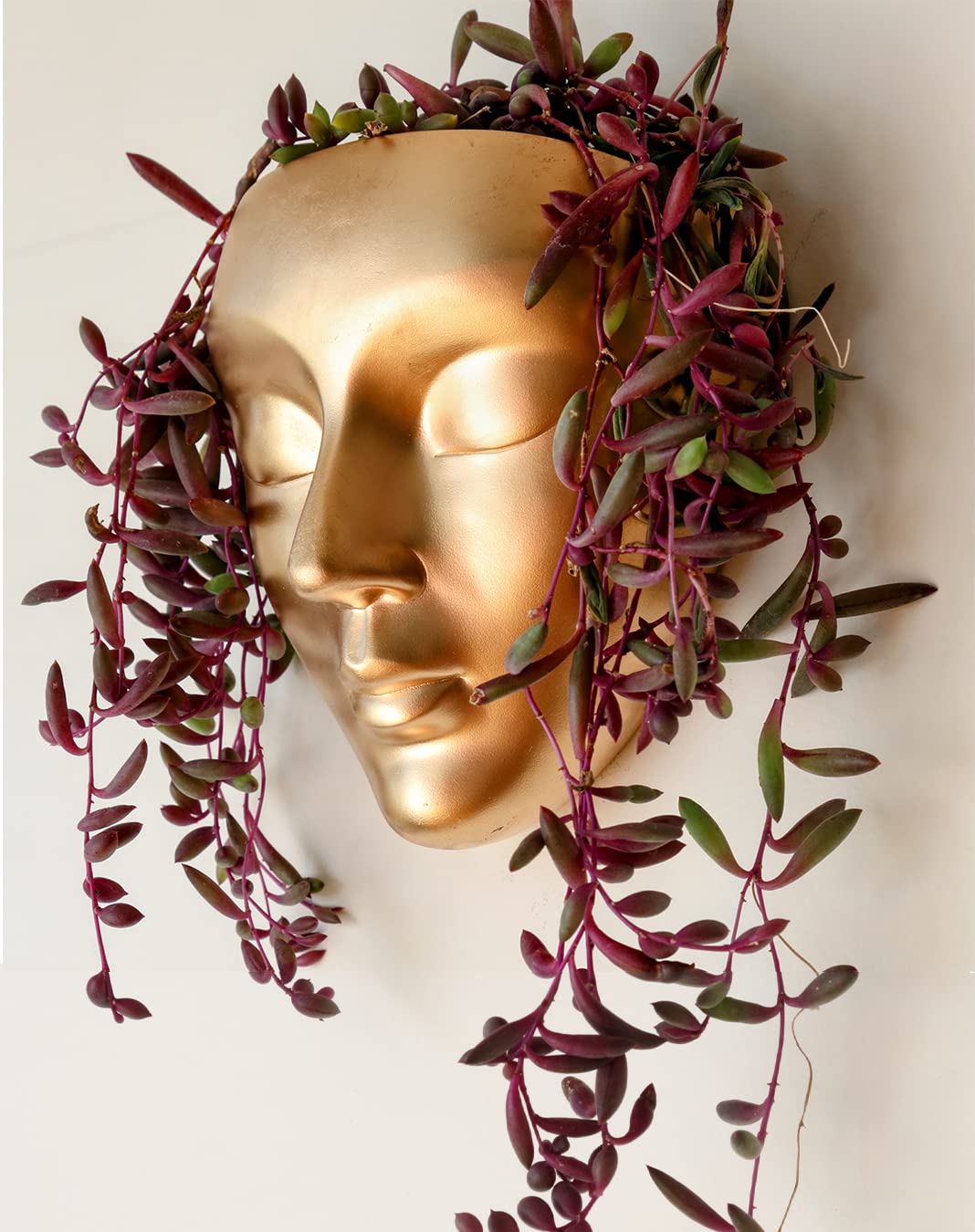 Photo 1 of Bossa Linda Face Wall Planter | 7 Colors Available | Unique Head Planter for Indoor Wall Decor | Perfect as a Succulent Wall Planter or Cactus Planter - Calma Design, Gold