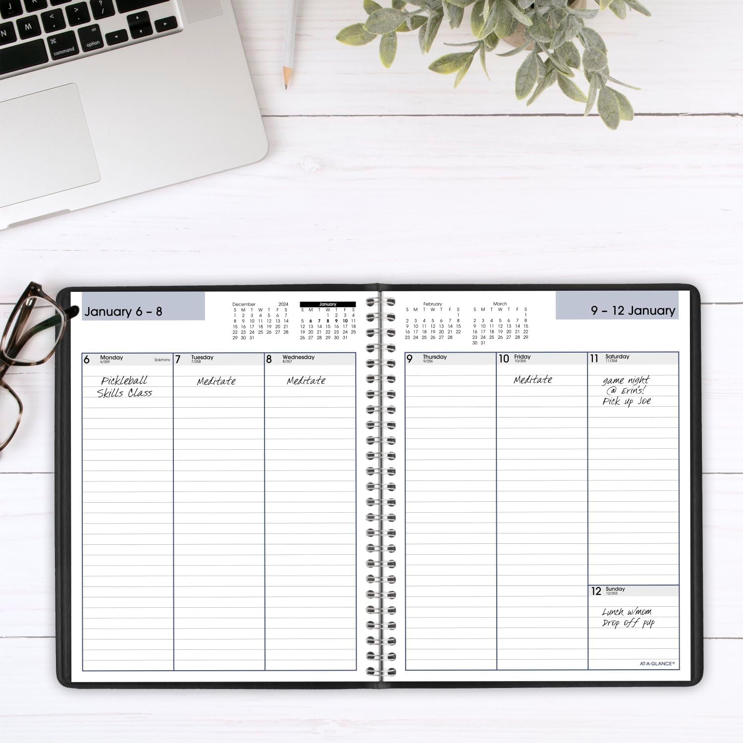 AT-A-GLANCE 2025 Planner, Weekly, 7" x 8-3/4", Medium, Column-Style, DayMinder, Black (G5900025)