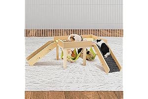 MEWTOGO Guinea Pig Play Set: Premium Hideout and Hammock for Small Pets