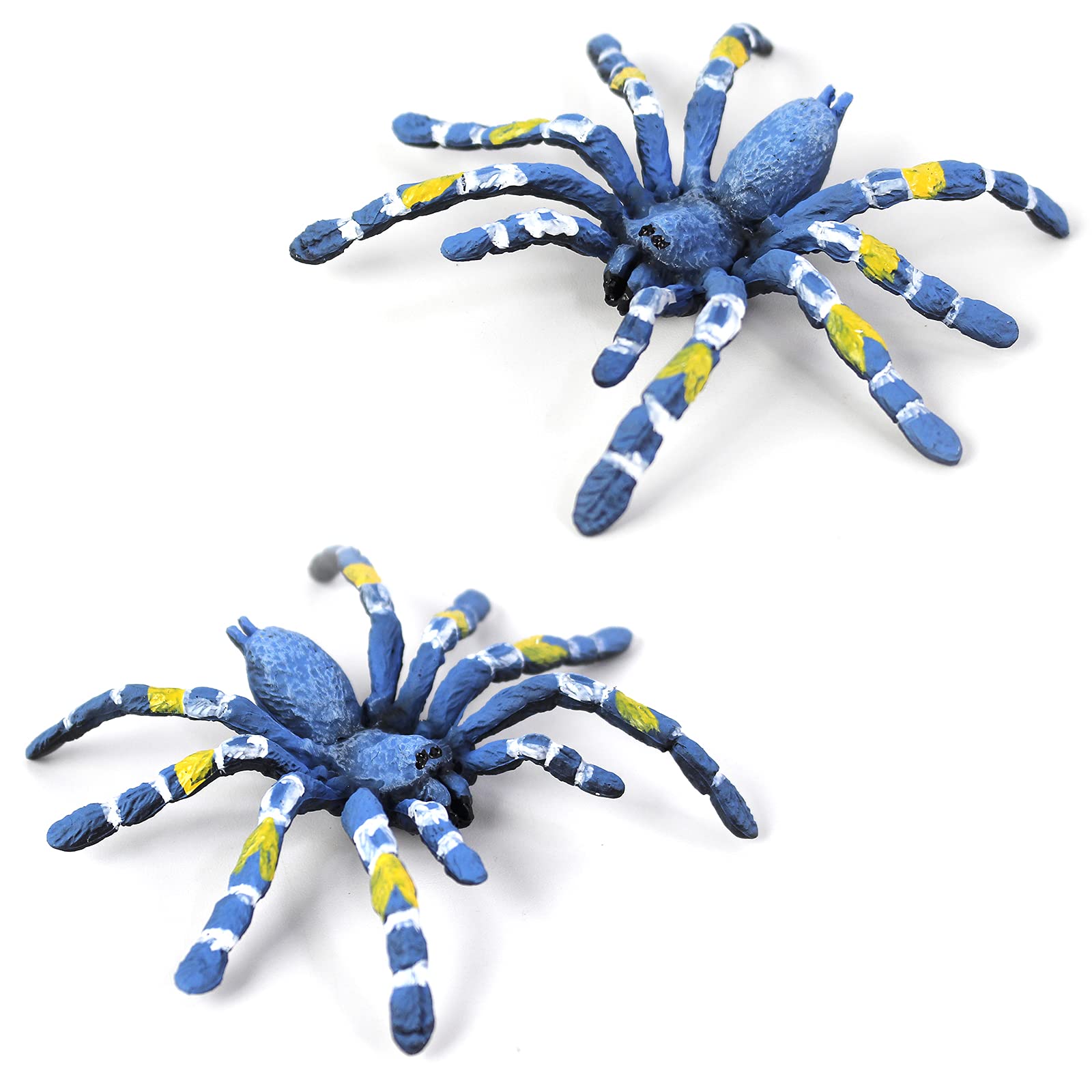 BURTINAR 2 PCS Realistic Spider Figures, Giant Toy Spider Animal Model, Halloween Prank Props Party Decorations, Can Also Be Used for Doys, Gifts for Girl Education and Learning (Blue Bird Spider)