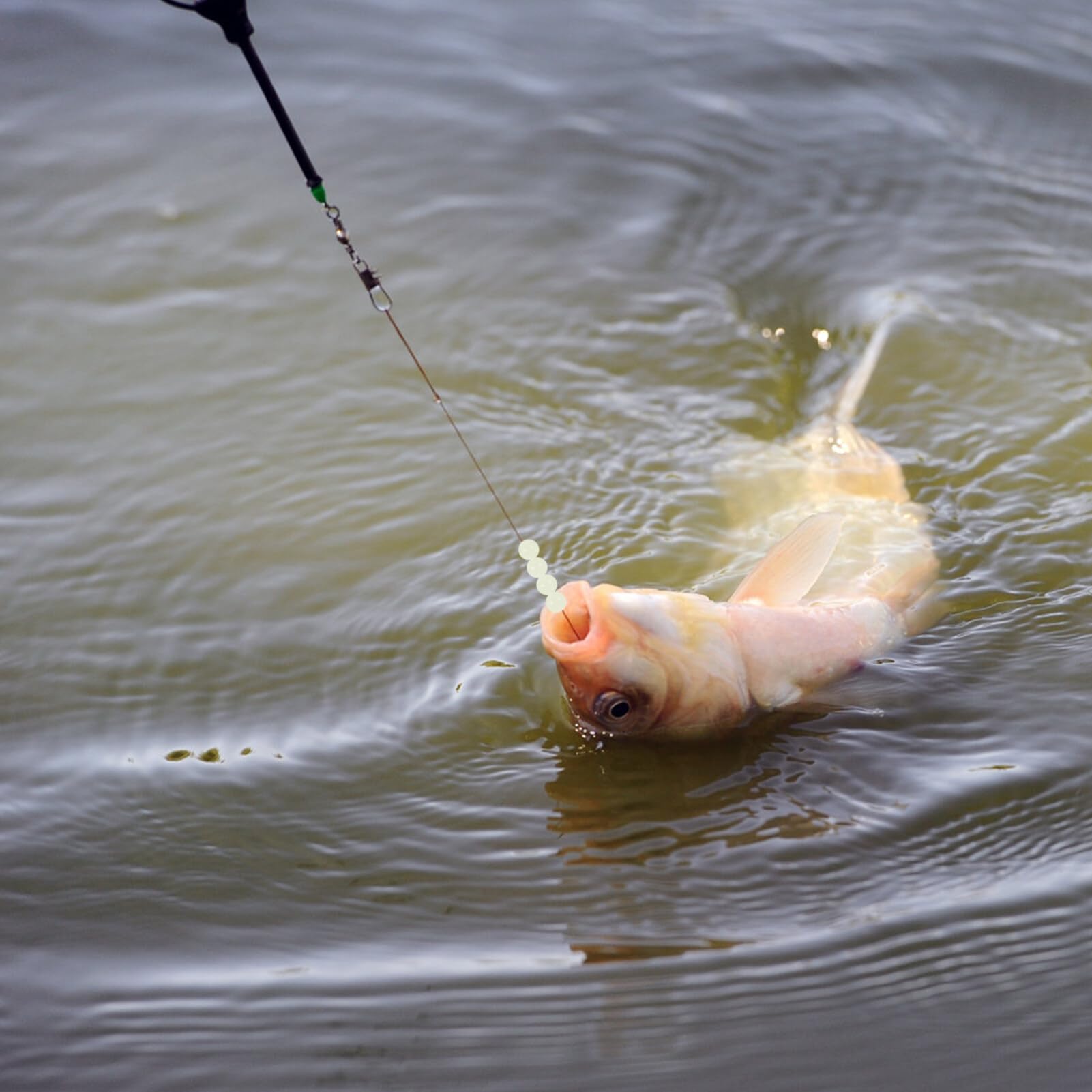 POPETPOP 200pcs Fishing Beads Reusable Night Fishing Line Beads for Enhanced Rigging Essentials Each of Glow Float for Freshwater