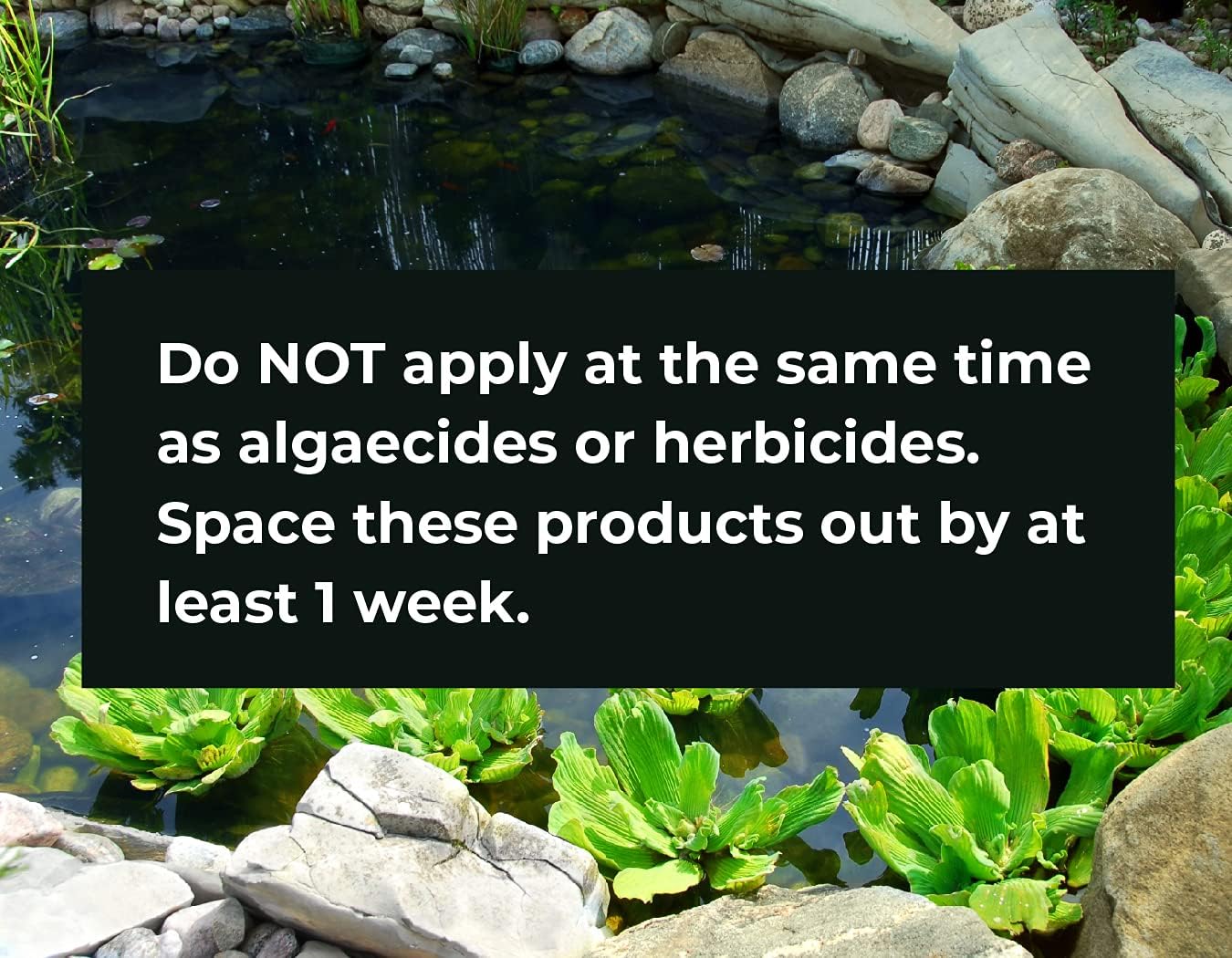 PondWorx Pond Bacteria and Water Clear- Formulated for Large Ponds, Water Features and Safe for Koi, Improves Water Quality- Gallon : Patio, Lawn & Garden