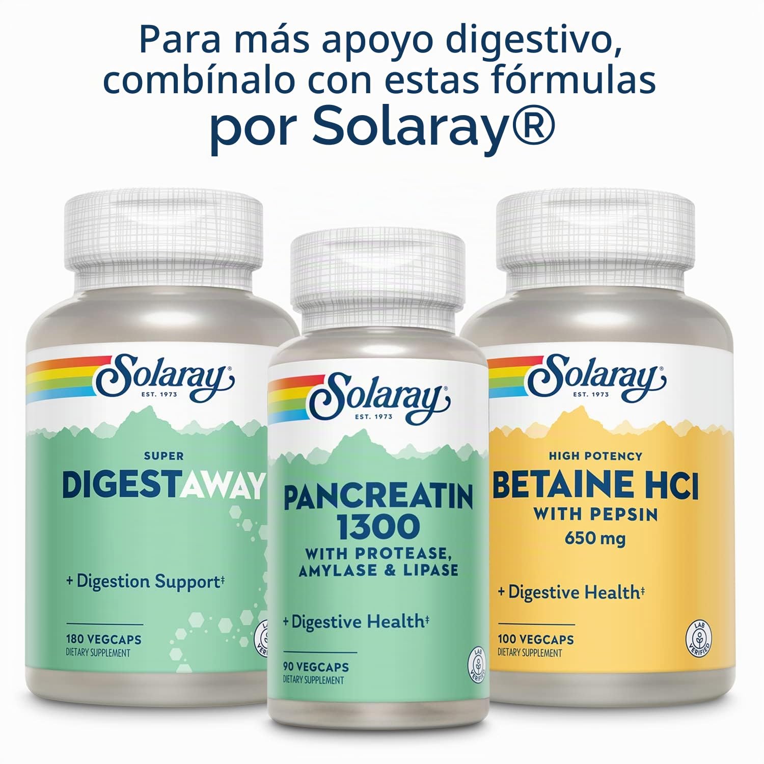 Solaray Mastic Gum 1000mg | 45 VegCaps, 45