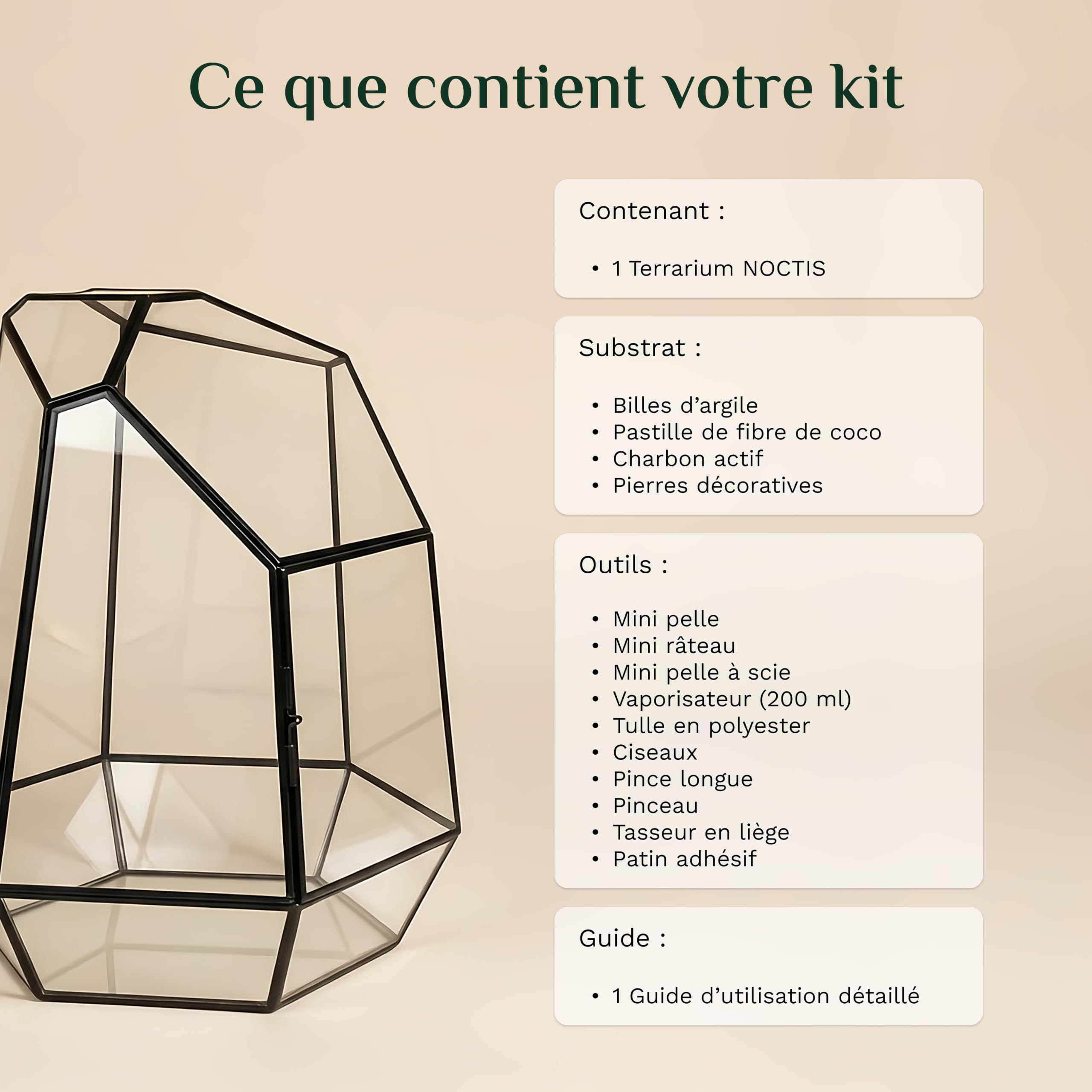 Noctis - Kit de Terrarium Complet DIY pour Plantes avec Substrat et 10 Outils Inclus - Structure en Verre - Design Géométrique - Écosystème Autonome, Coffret Créatif (sans Plantes)