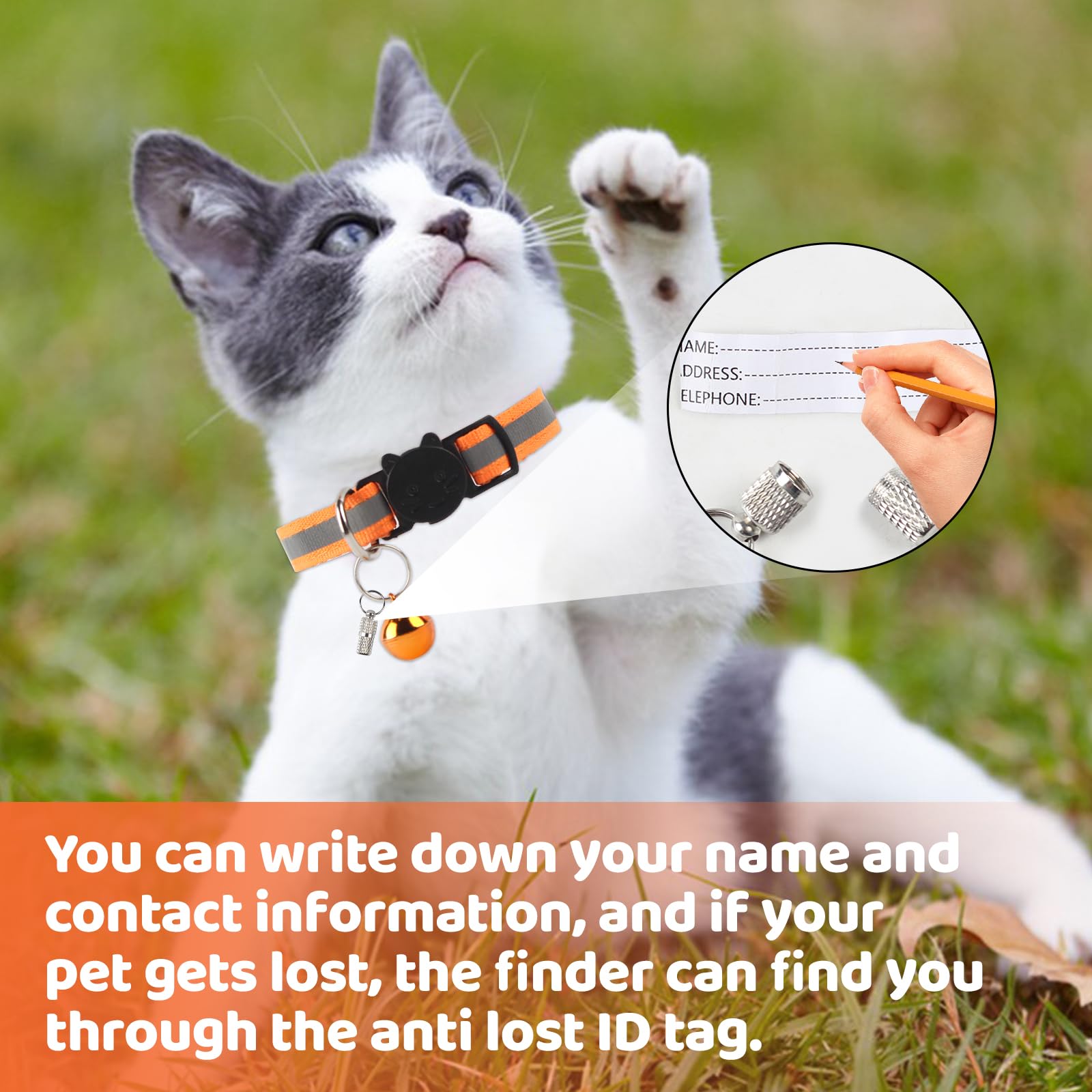 Beste kattenhalsbanden met GPS: nooit meer uw kat kwijt