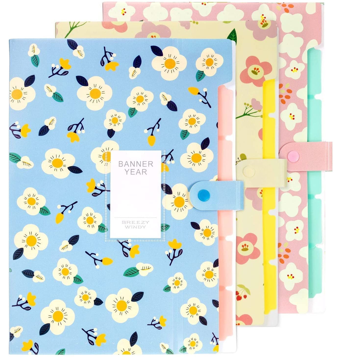 Wynhard Expanding File Folders for Documents Certificates Large Size 3