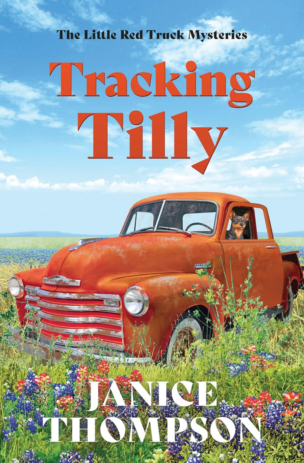 Buy Tracking Tilly: The Little Red Truck Mysteries (Red Truck Mysteries, 1) — BookShops.in