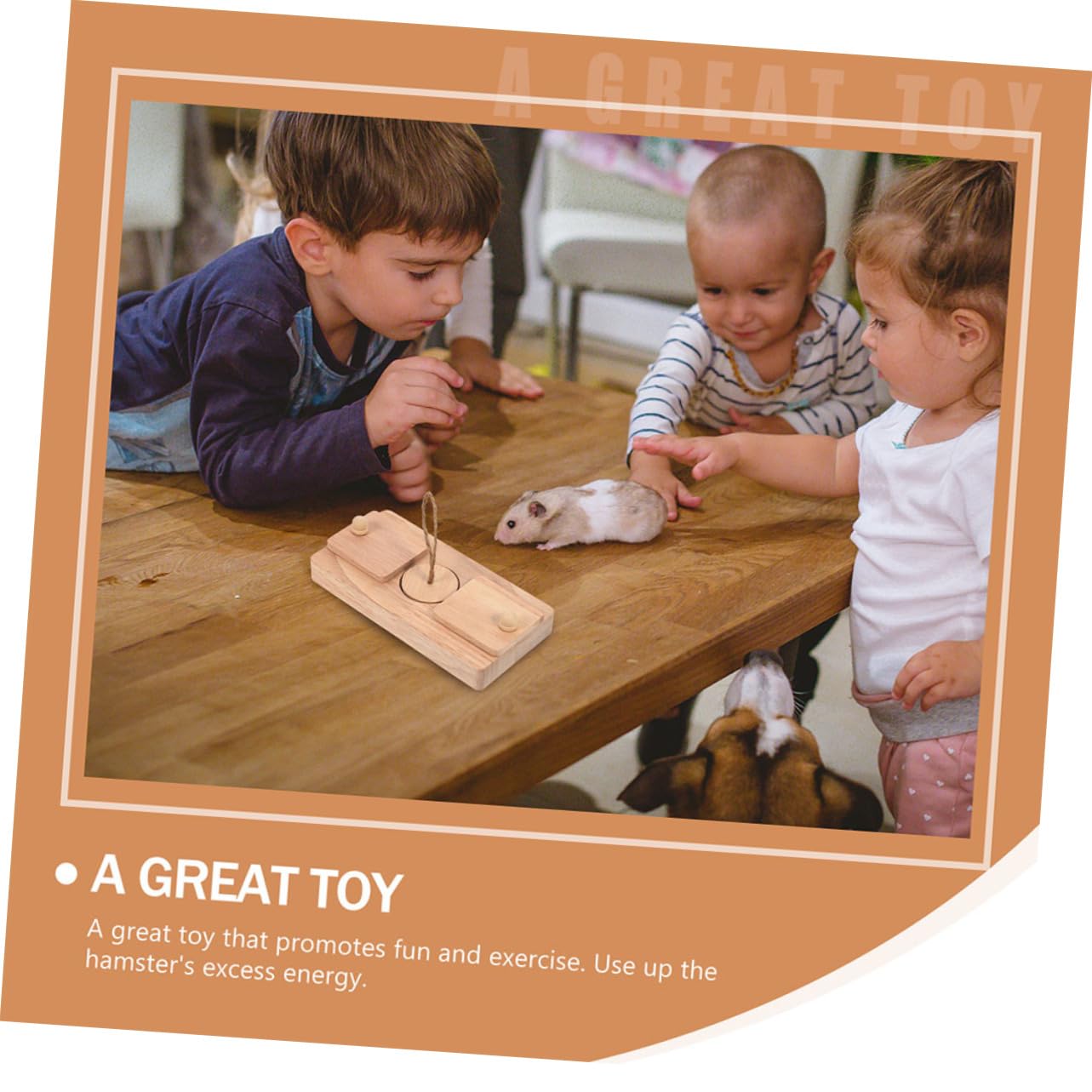 Jouet en Bois à Friandises pour Hamster, Cachette Interactive 2 Pièces