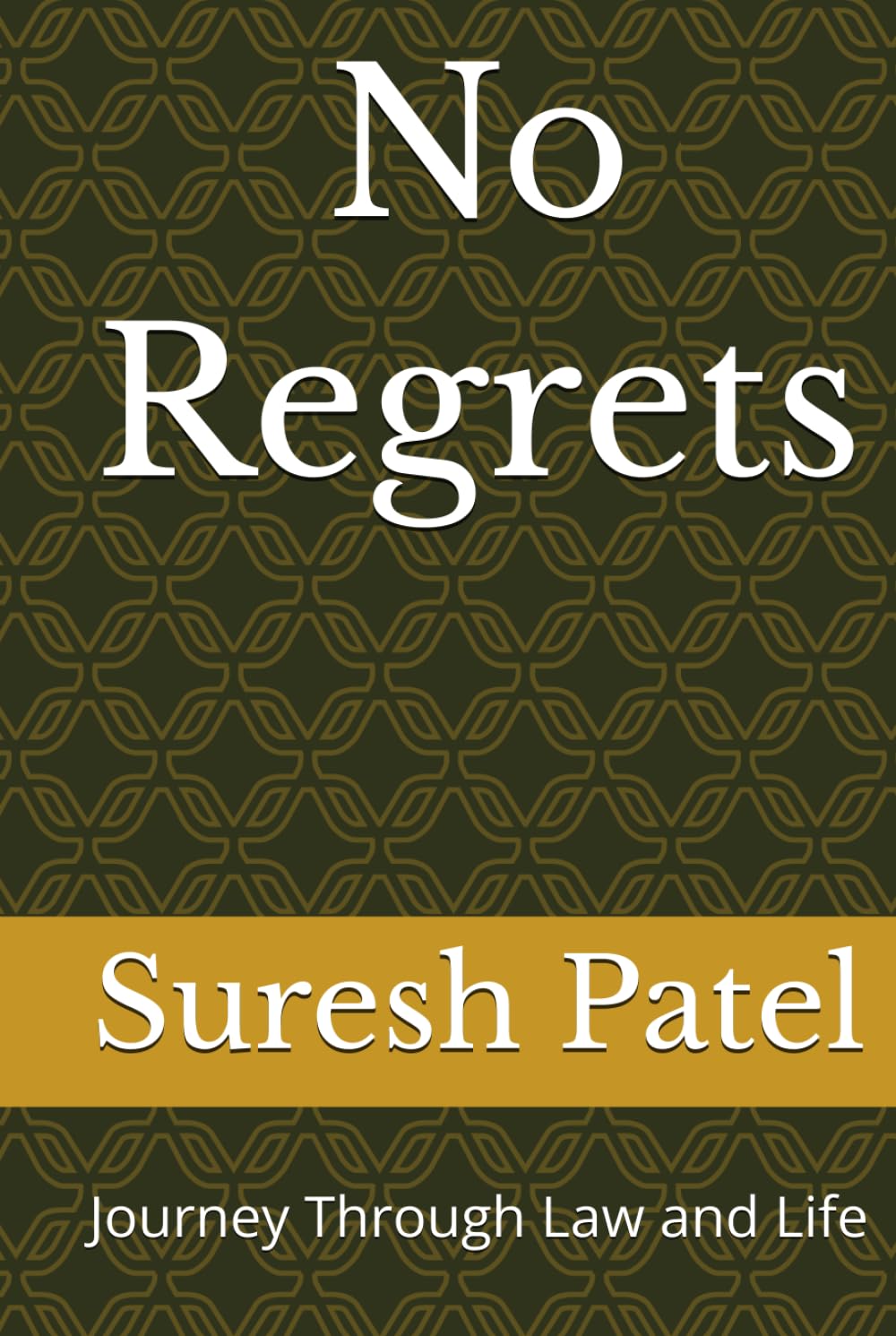 No Regrets: Journey Through Law and Life