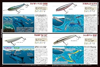 海のルアー入門 2023-2024年版: 岸から狙える陸っぱり (Gakken