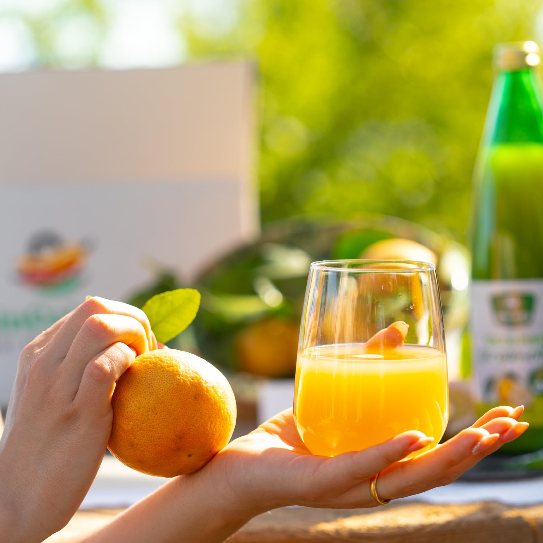6 Bouteilles Jus de Bergamote Pur 100% - 1L Spina Santa: Goût et Bien-être de Calabre