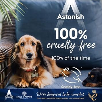 Astonish Oven & Cookware Cleaner Paste 150g Multipurpose Kitchen Cleaner for Ovens, Baking Trays, Pans & Cookware, Stovetops & Stainless Steel Surfaces, Removes Grease, Food Residue & Tough Stains
