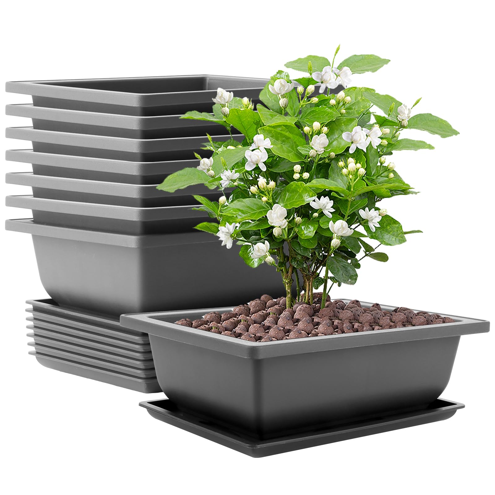 AKOLAFE 8 cuencos para bonsái grandes, 22,5 x 16,5 x 7,5 cm, maceta para bonsái con platillo, maceta de plástico para interior y exterior, maceta de plástico grande para jardín, salón, balcón