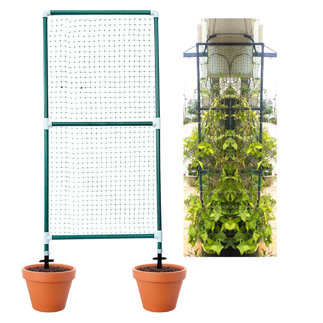 Trelliskart Garden Trellis 5 by 2 Feet Balcony Privacy Screen with Creeper Support for Climbing Plants Outdoor Poles & Stakes, Rustproof Coated Plant Support for Vegetable, Flowers, Vines- Pack of 1 (B0D7HKPL3X) Amazon Price History, Amazon Price Tracker