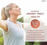 Herba Cranberry Supplement 36x Extract | 28,800mg Per Day | 180 Cranberry Pills for Women and Men | High Potency Formula to Help Prevent Urinary Tract Infection (UTI) | Made in Canada