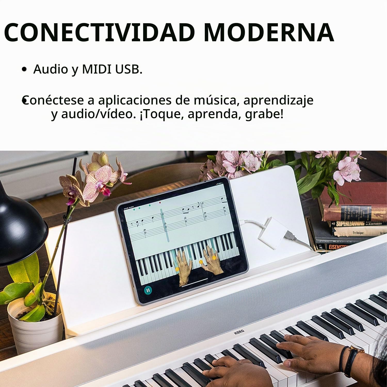 Korg B2 WH - Piano digital Blanco