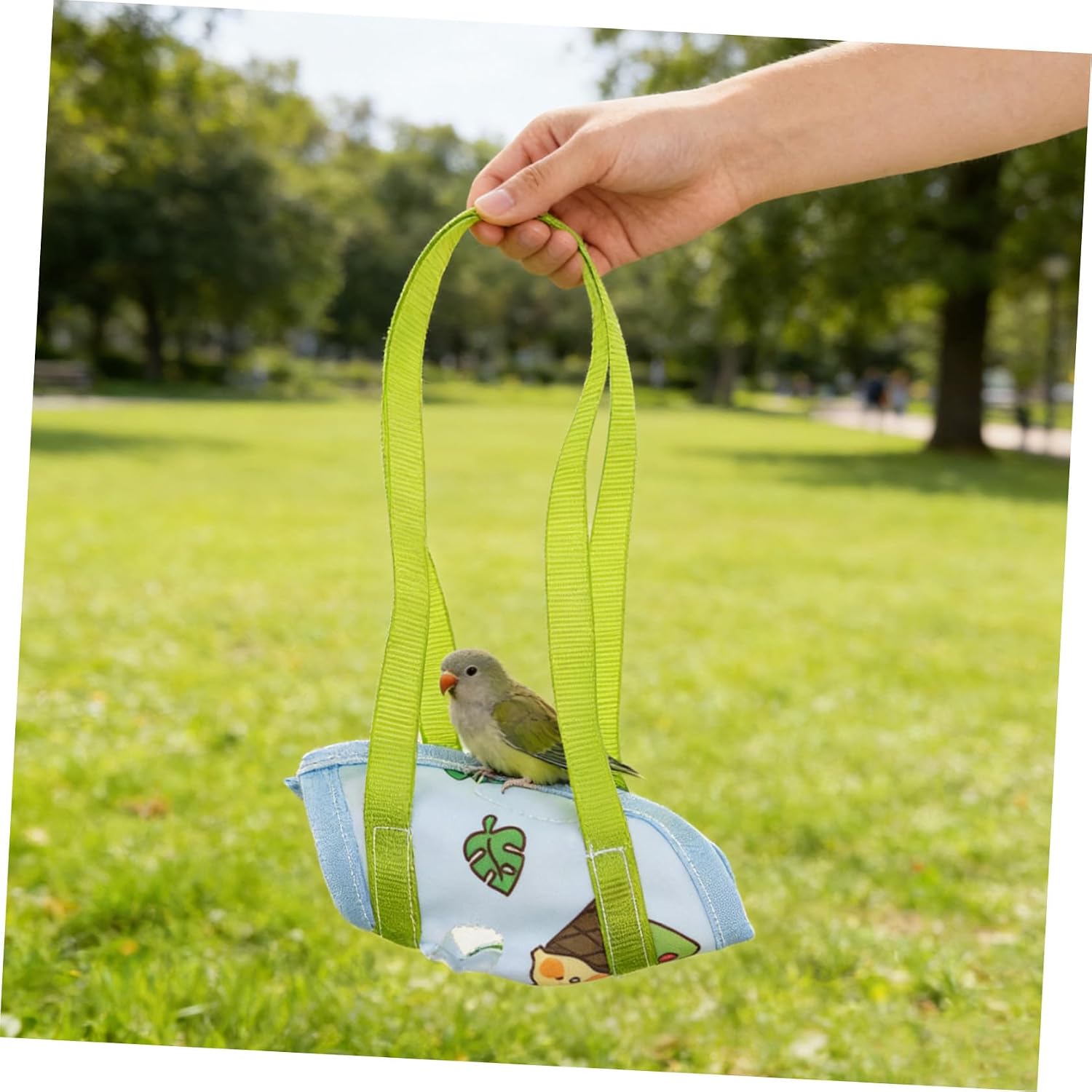 Beavorty 2pcs Medium Parrot Carrier Bag Escape-Resistant Portable Bird Travel Harness for Cockatiel Green-cheeked Conure Small Parrots Outdoor Use