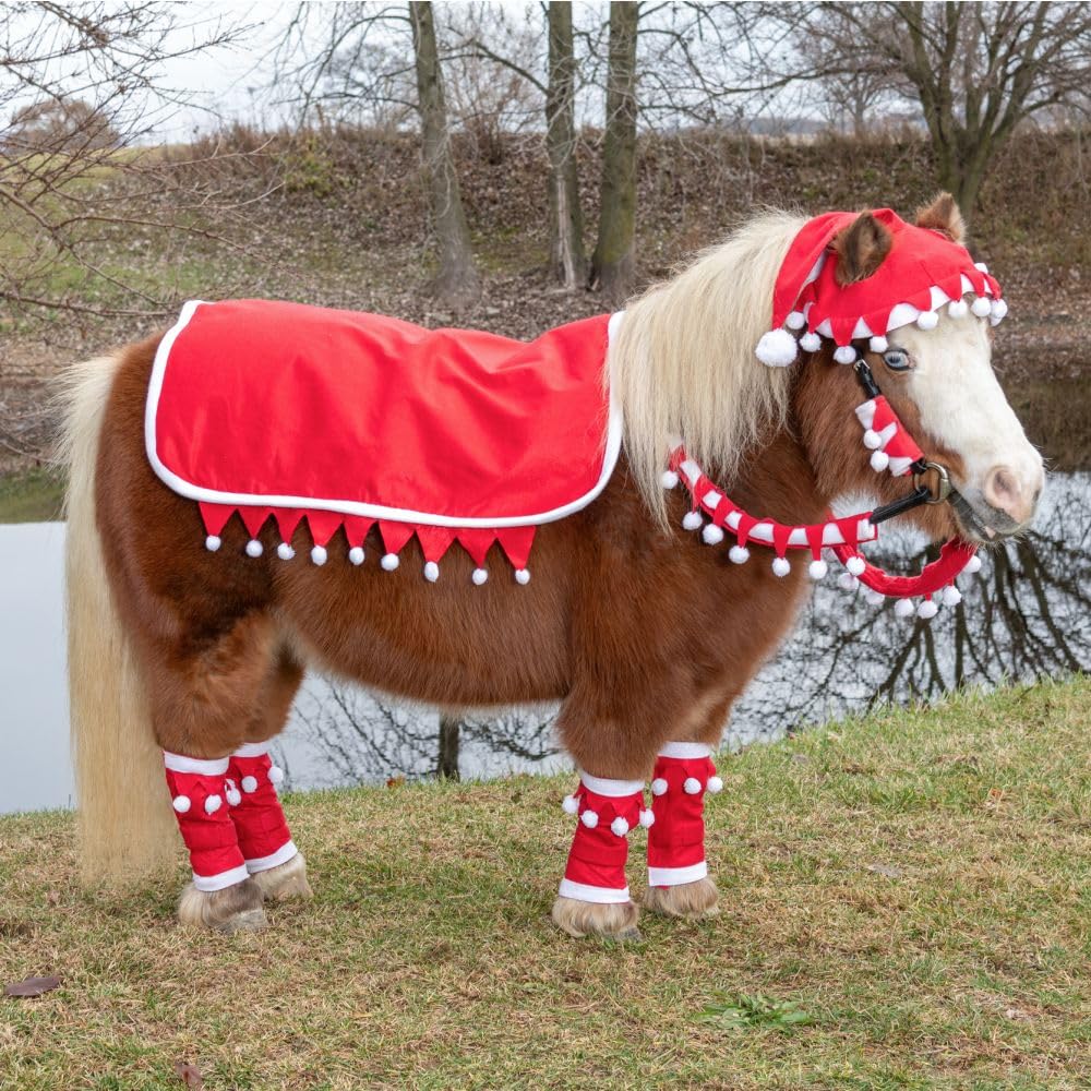 Tough 1 Mini 5 Piece Western Santa Set