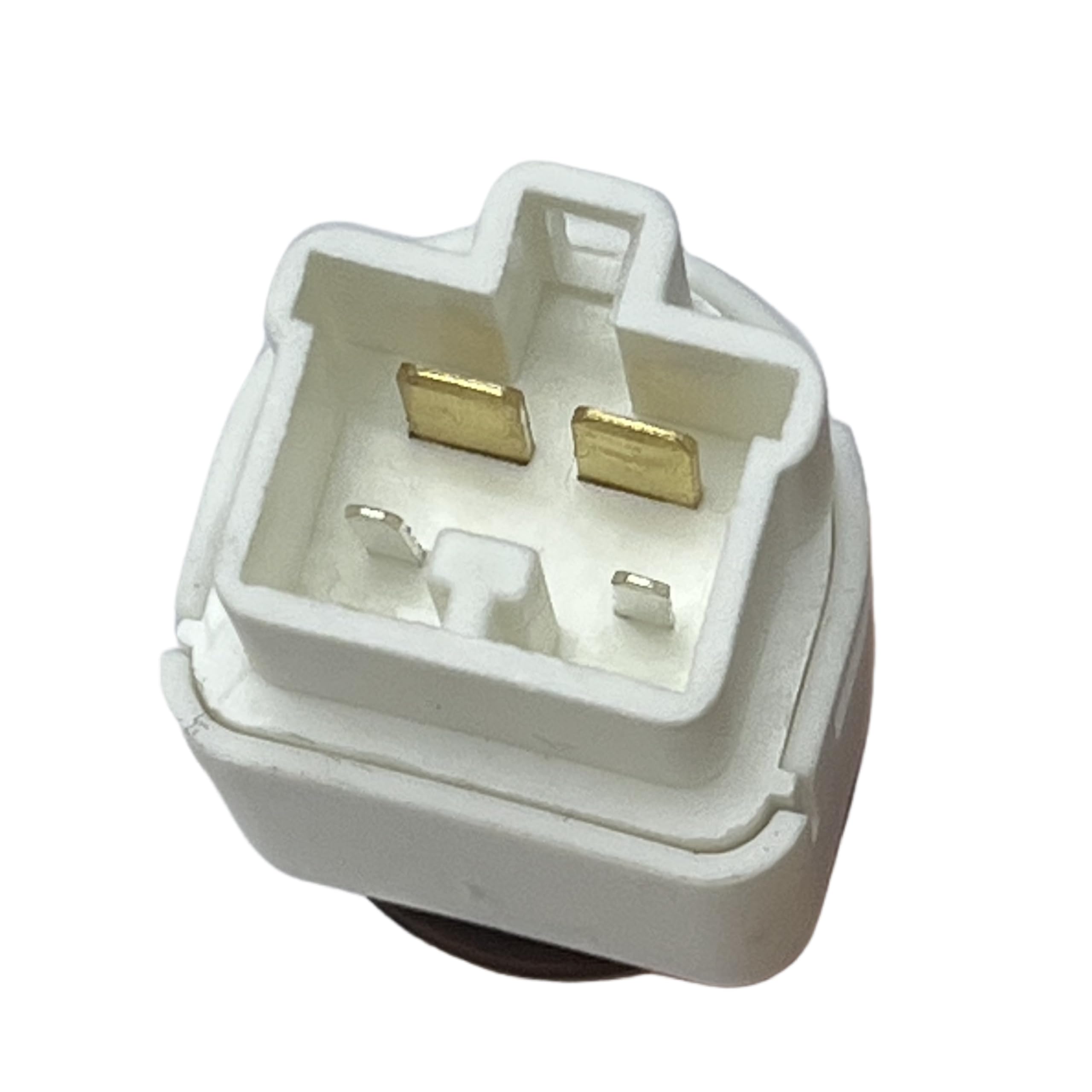 【eaphi】2WAY LOOP CAMIBUSTIER eaphi】2WAY LOOP CAMIBUSTIER eaphi】2WAY LOOP CAMIBUSTIER