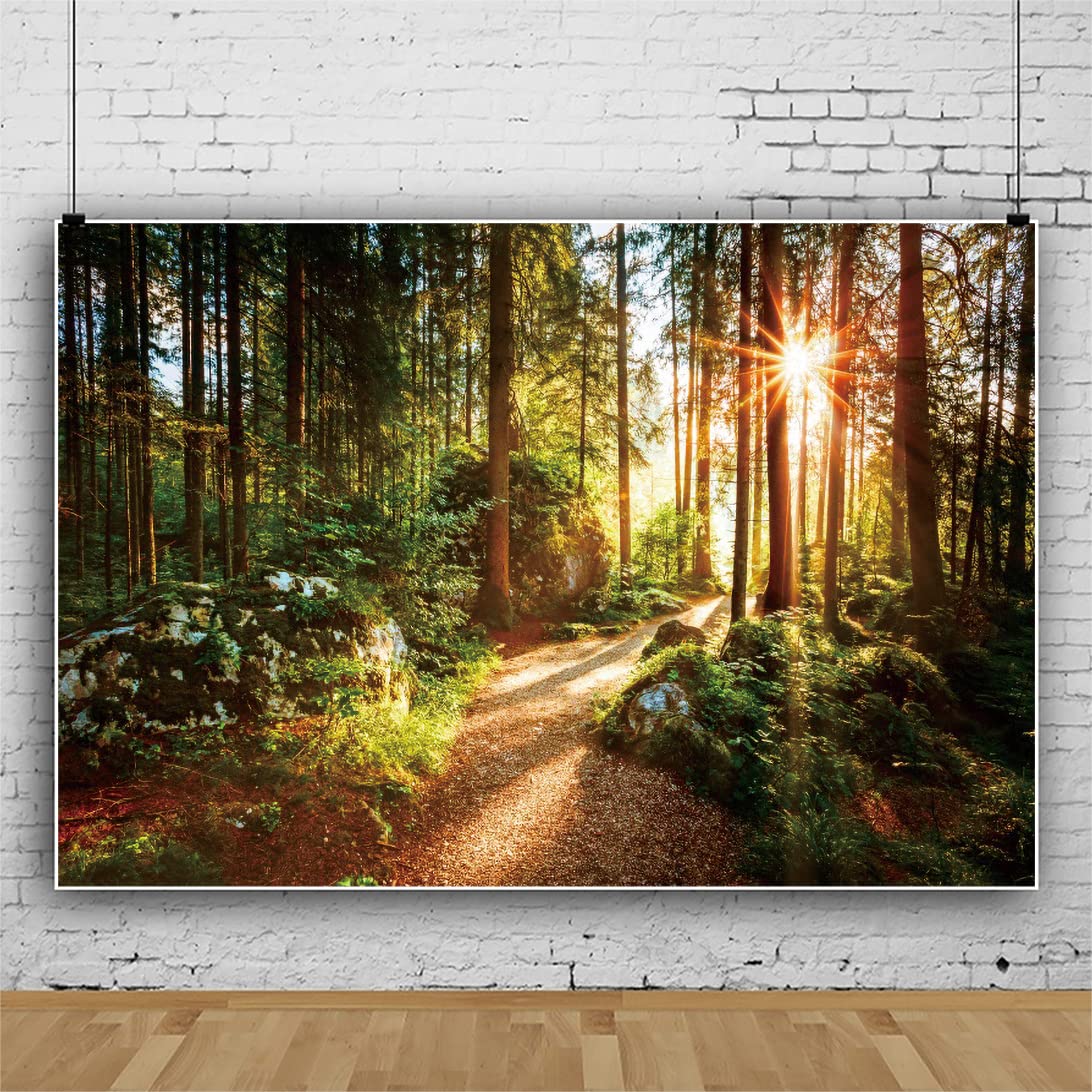 Yeele 9x6ft Jungle Forest Backdrop Natural Spring Scenery Sunshine Green Mountain Trees Background Outdoor Picnic Hiking Camping Picture Photoshoot Wedding Photography Background Photobooth Props