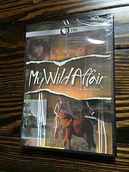 ワイルドライフ 自然写真家 野生へのまなざし BOX [DVD