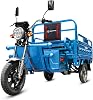 Oryxearth 1000W Electric Tricycle Cargo Carrier w 440LBS Capacity, 31-Mile Range, 2.12 cu ft Storage & LED Display, Blue