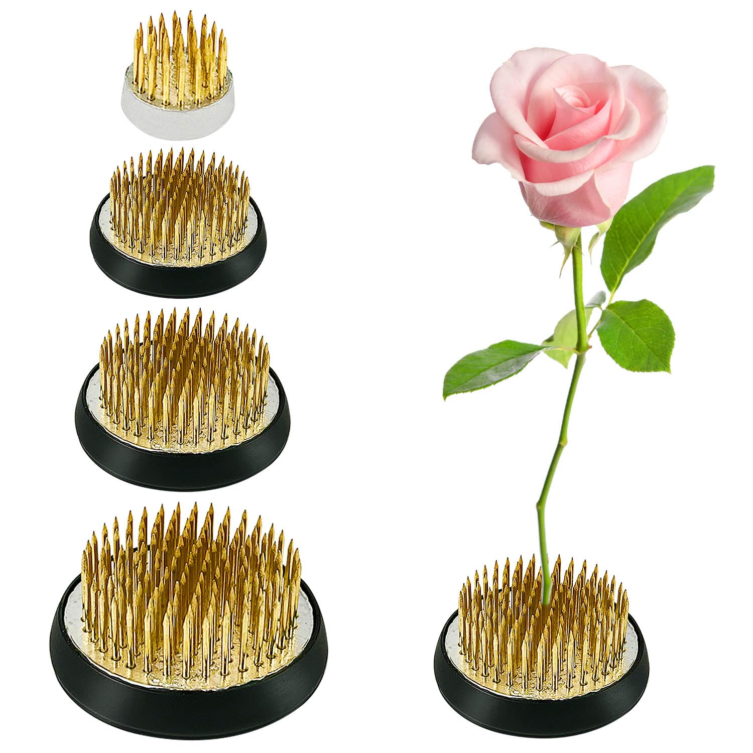 4 Pezzi Ikebana Kenzan, Rotonda Flower Ffrog, Acciaio Inossidabile Perno Disposizione Fiori, Disposizione dei Fiori Pin, Rana Fiore Adatto per Giardino Negozio Fiori Sala tè Soggiorno (23/34/40/50mm)