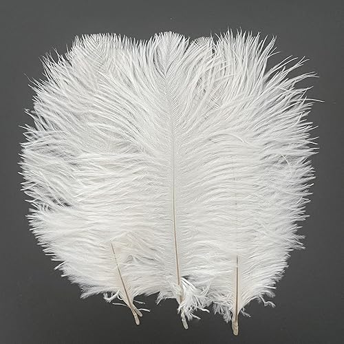 LONDGEN 50 plumas de avestruz de 8 a 10 pulgadas para centros de mesa de fiesta de boda, decoración del hogar (blanco)