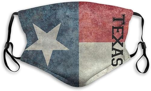 Labradors Retrievers - Mascarilla de algodón lavable con 2 filtros para boca caliente y resistente al viento, Bandera del estado de Texas,