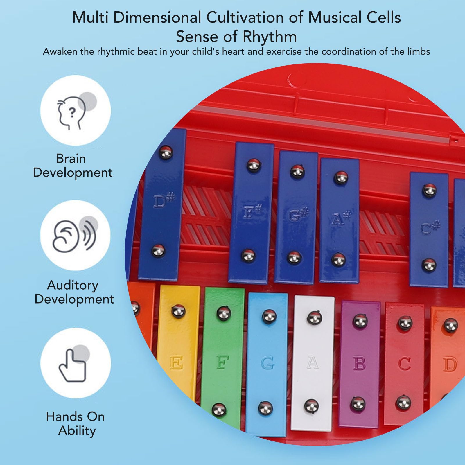 TYTOGE Kids Xylophone Aluminum Colorful 25 Note Professional Xylophone Instrument for Early Education