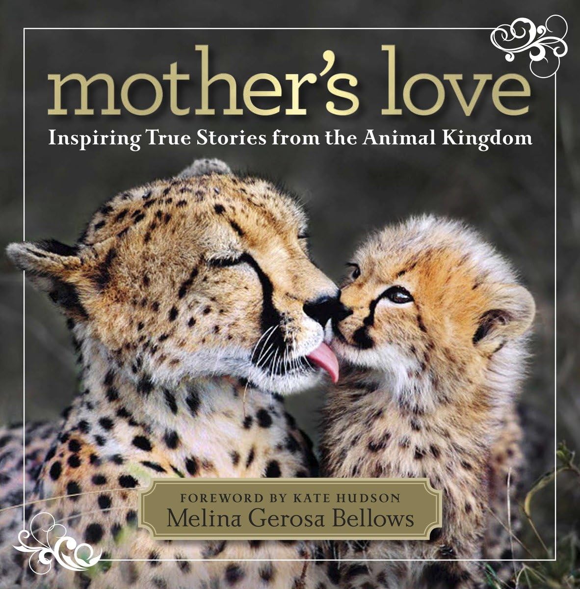 Amazon.com: Mother's Love: Inspiring True Stories From the Animal