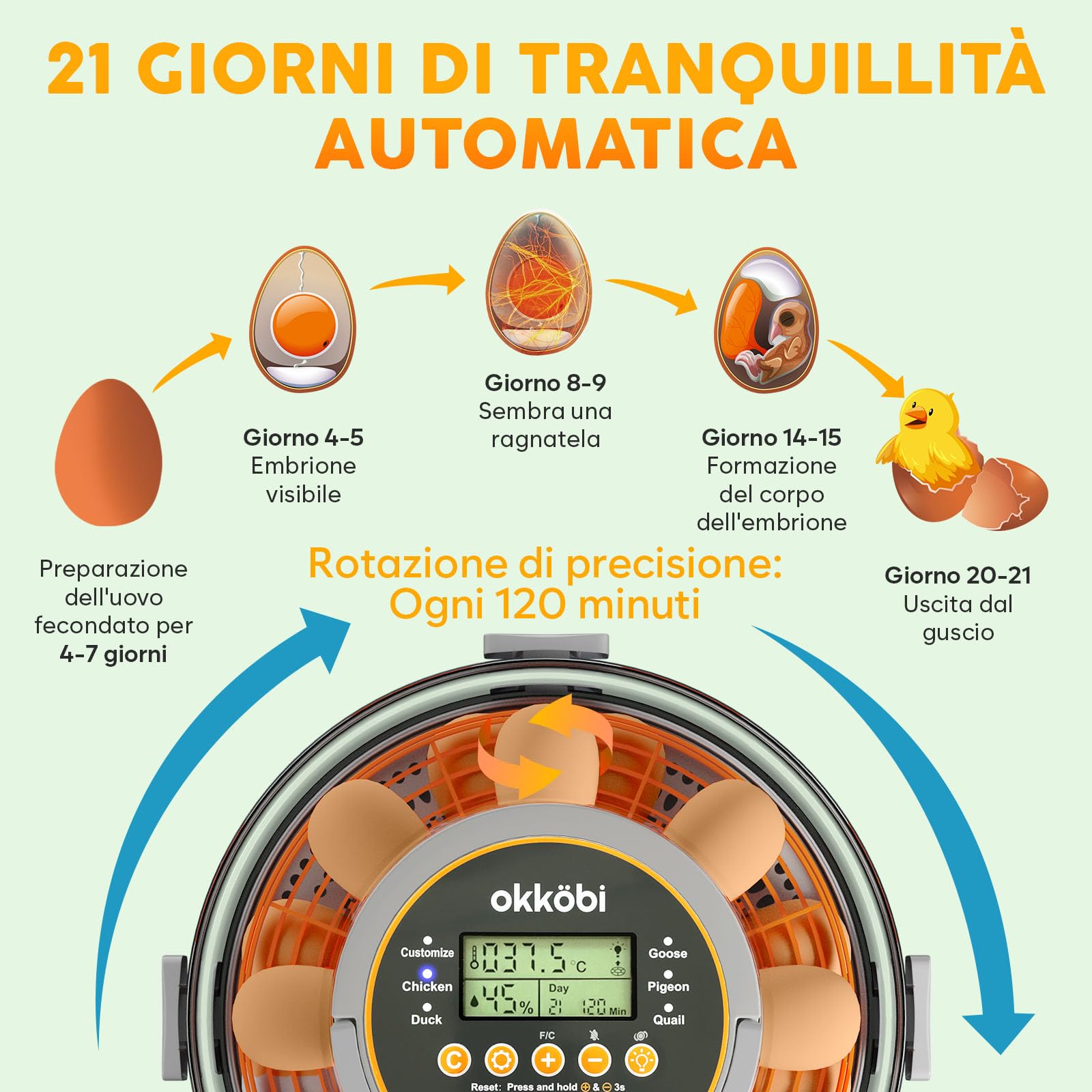 Incubatrice per uova automatica Okköbi – Incubatrice per 12 o 20 uova gallina – Controllo automatico temperatura e umidità – Gira uova – Luce per test uova – Facile da usare