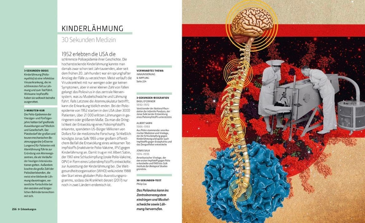 Anatomie und Medizin in 30 Sekunden: Die 100 wichtigsten Ideen und Behandlungen für den menschlichen Körper