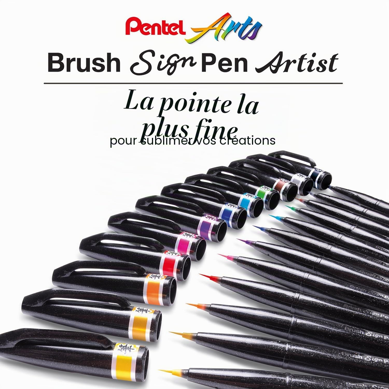 Pentel Arts Brush Sign Pen Artist SESF30C-AX, Lot de 12 Feutres pinceaux Pointe souple extra-fine, Noir