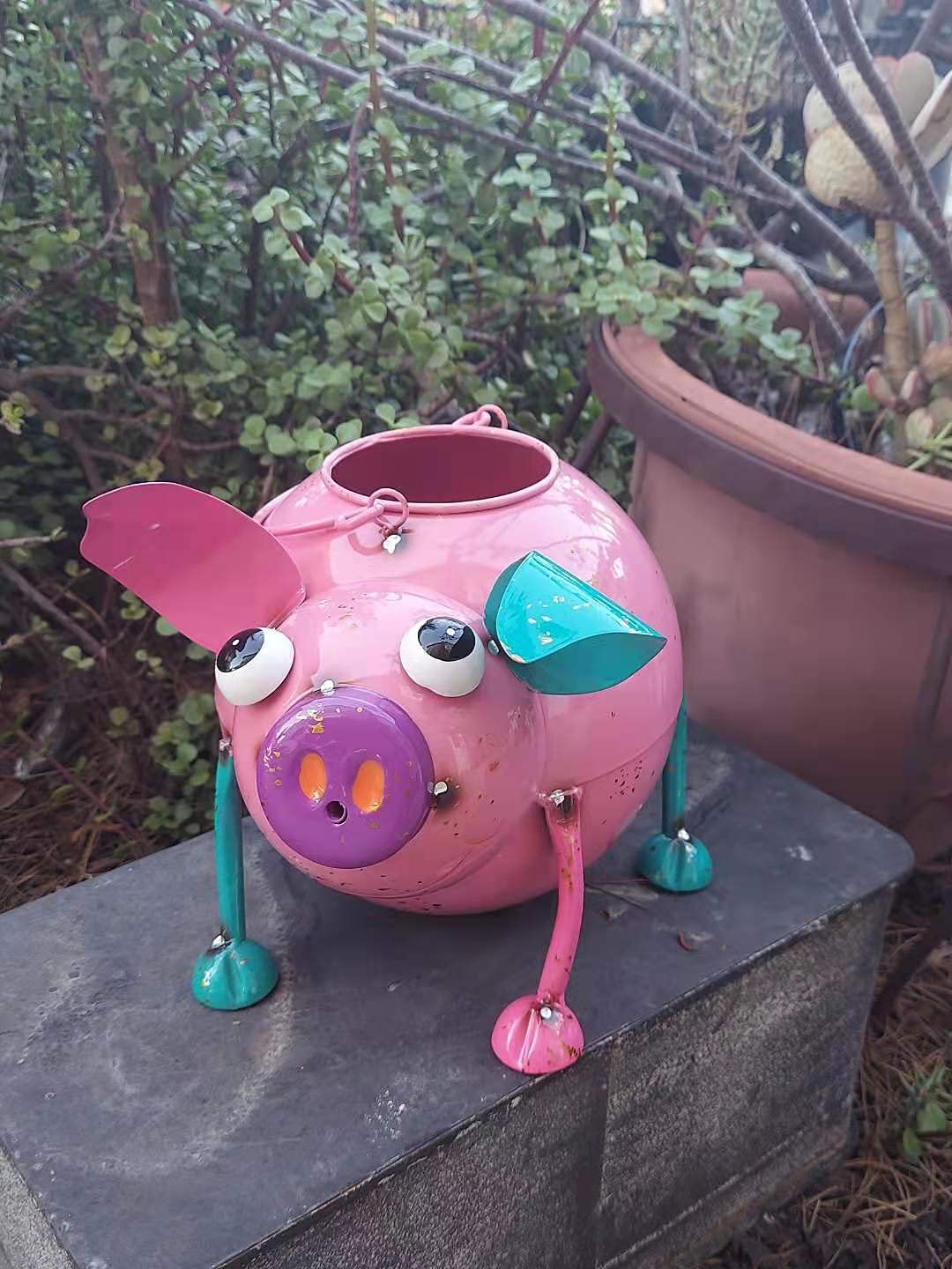 シロチョウ科　セット シロチョウ科全種標本