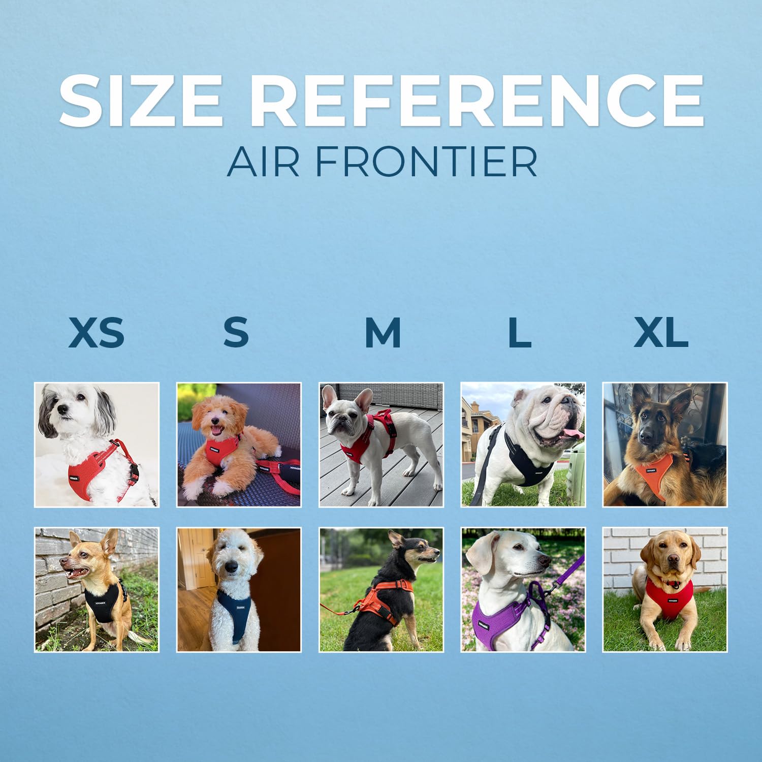 Air Frontier - Pettorina per cani in rete con anello a D e guinzaglio in acciaio, cuciture riflettenti e design leggero traspirante anti-tiro, cinghie regolabili per collo e petto per razze piccole e