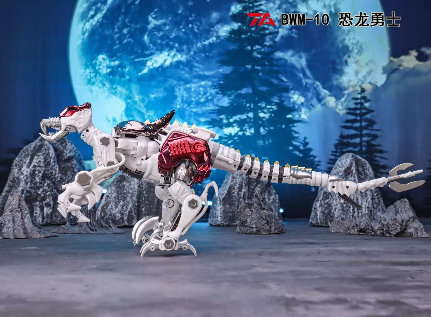 Amazon.co.jp: TransArt TA BWM-10 : Hobbies