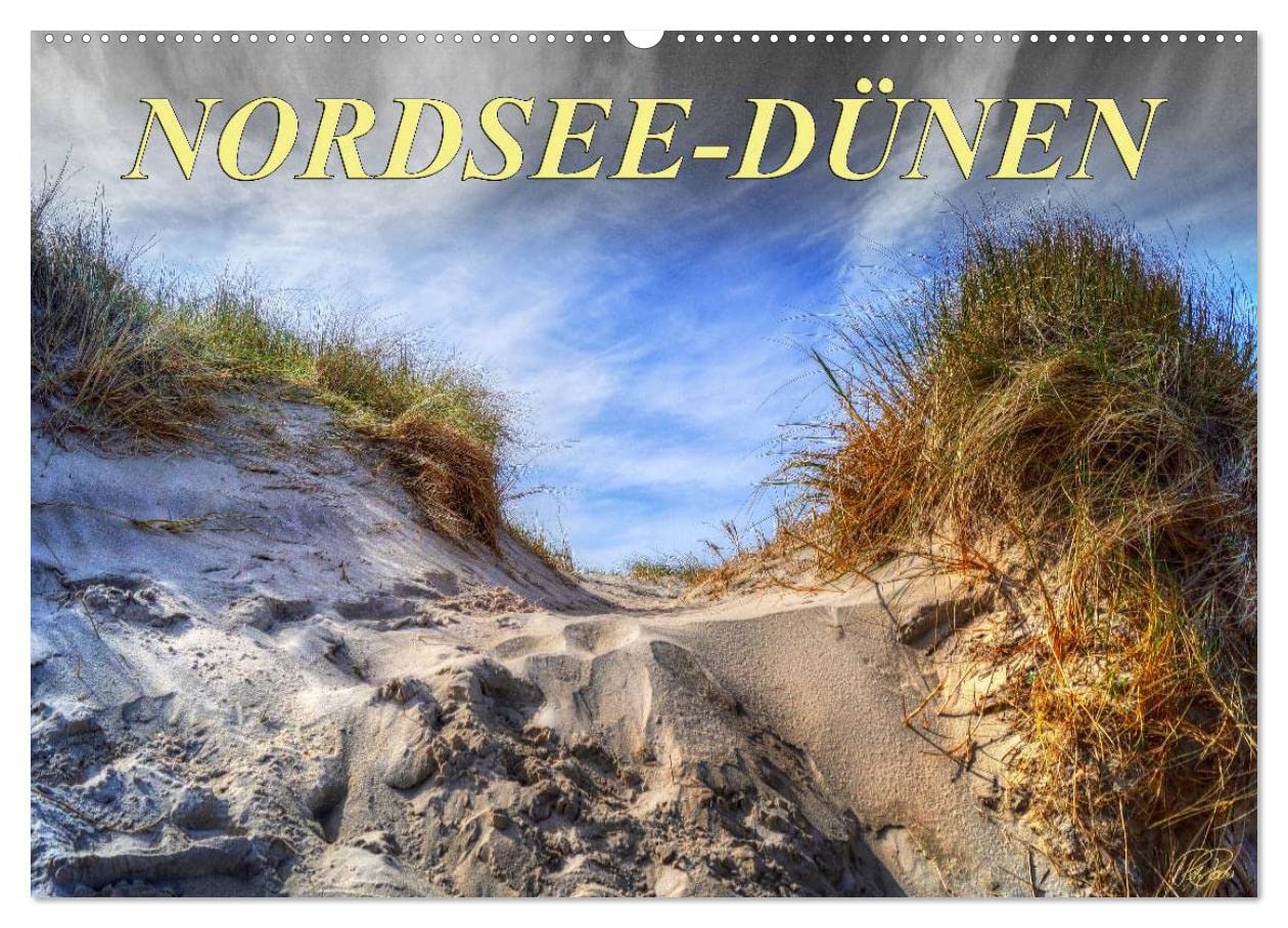 Nordsee-Dünen (Wandkalender 2026 DIN A2 quer), CALVENDO Monatskalender: Peter Roder folgen Sie dem Fotokünstler in die Dünen an der Nordseeküste (CALVENDO Natur)