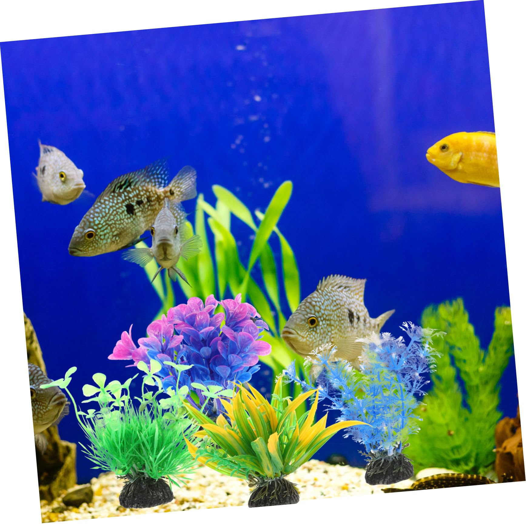 Alipis 5 Set Piante Acquatiche Artificiali per Acquari Decorazioni per Realistiche E Sicure Ornamentali per Domestici E Uffici 5 Pezzi*5