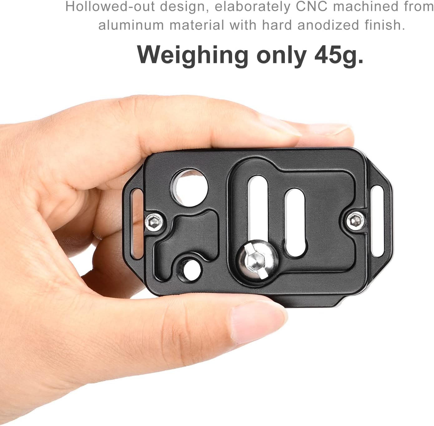 350787_7 350787_7
